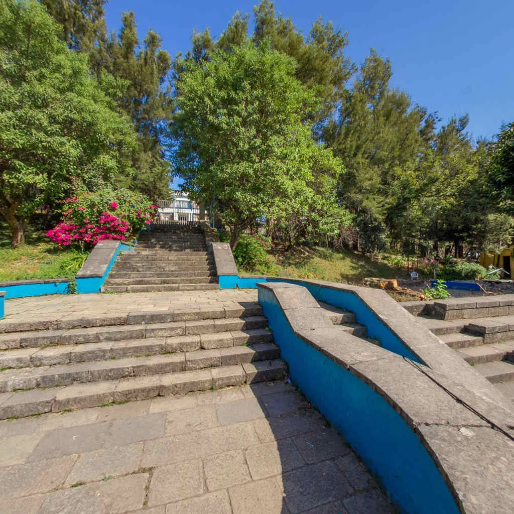 Stone steps under the trees